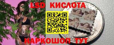 твердый Будённовск